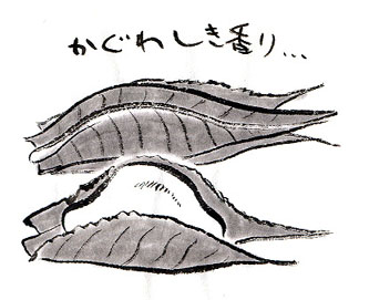 和菓子:桜餅イラスト