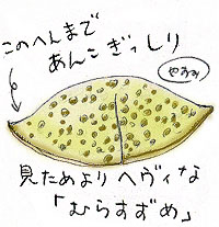 和菓子イラスト