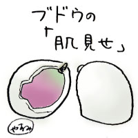 和菓子イラスト