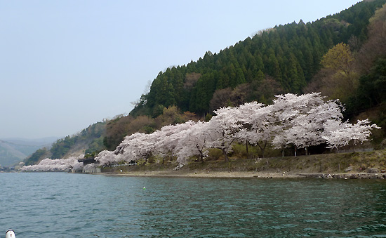 長浜市海津大崎