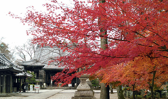 長浜市向源寺　国宝十一面観音菩薩安置