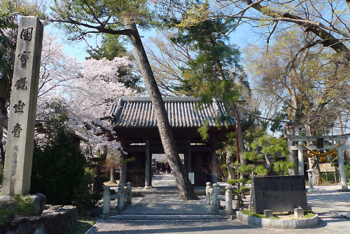 長浜市向源寺　国宝十一面観音菩薩安置